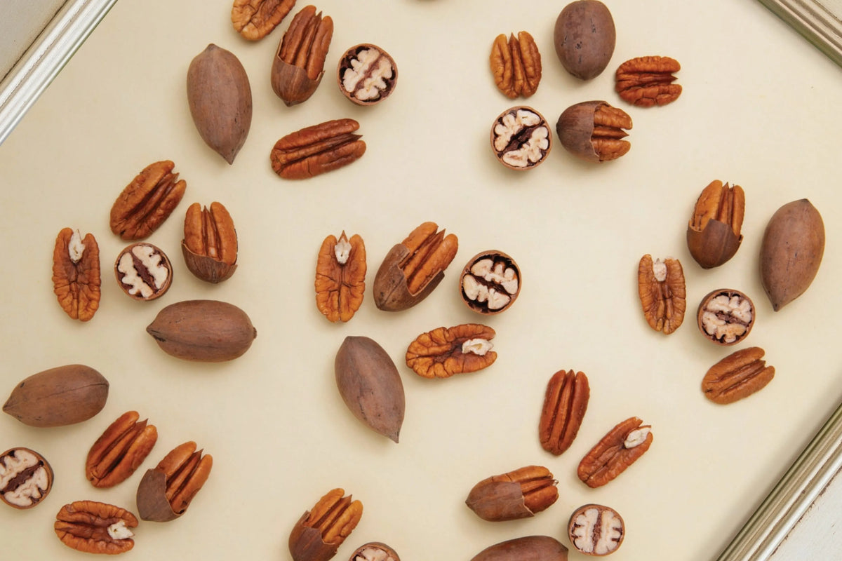From the Mouth of the Farmer a Crash Course on Pecan Cultivars
